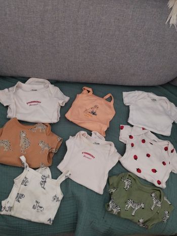 Lot de 8 bodies fille manches courtes