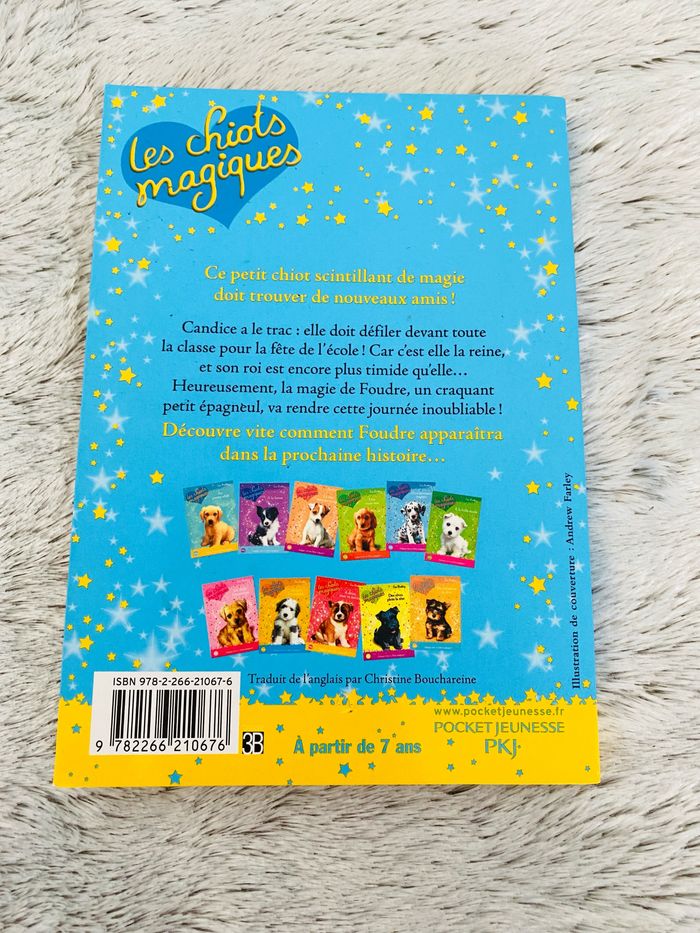 Livre Les chiots magiques La reine de l’école - photo numéro 3