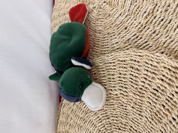 doudou canard corps souple vert bleu Bordeau