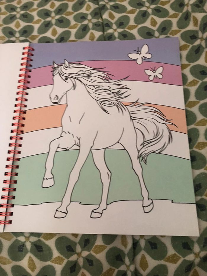 Livre de coloriage miss Mélody - photo numéro 6