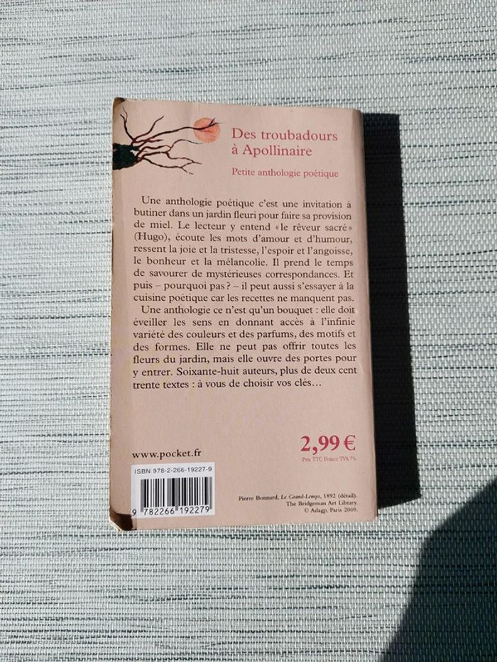 Des troubadours à Apollinaire - photo numéro 2