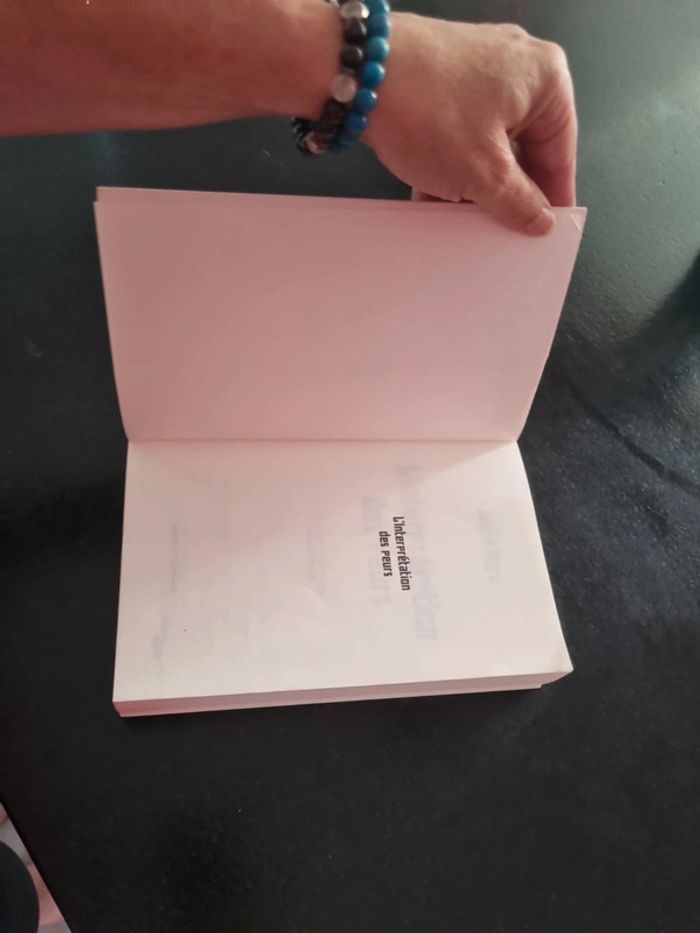 L'interprétation des peurs de Wulf Dorn - photo numéro 9