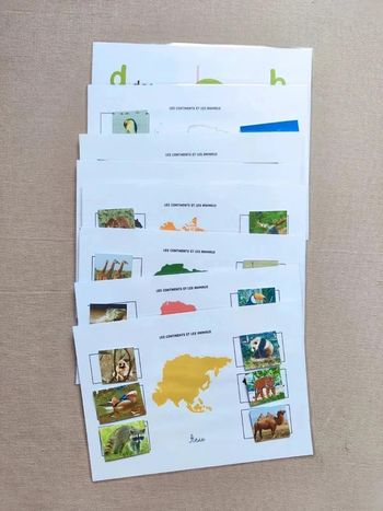 Les 7 continents et ses animaux à scratcher Montessori