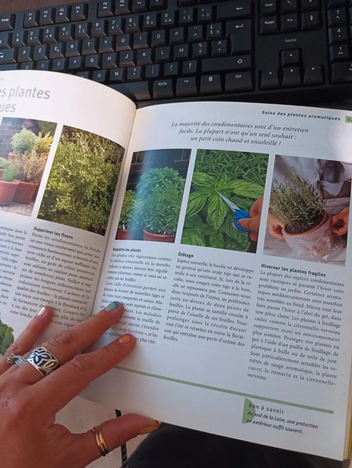 Livre saveurs du jardin Legumes fruits et aromates - photo numéro 3