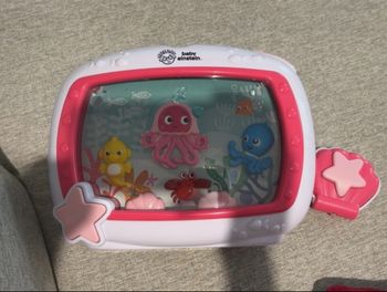 Aquarium baby Einstein rose