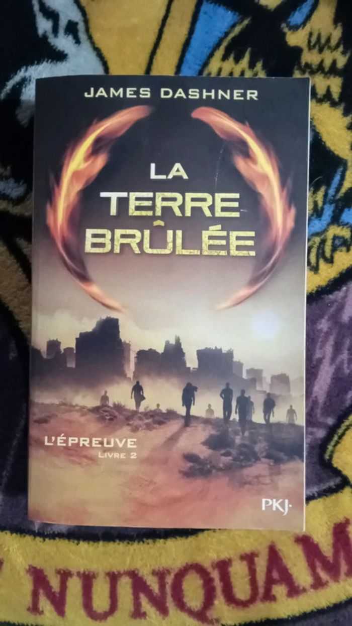 Livre la terre brûlée le labyrinthe