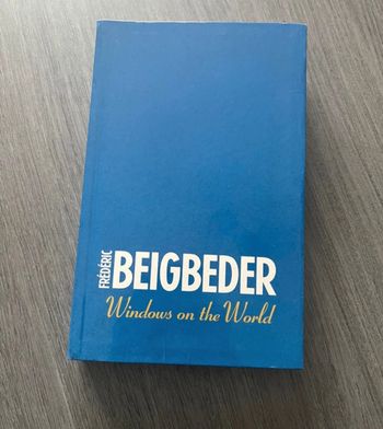 Roman Windows on the world Beigbeder