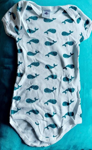 Lot 3 bodies manches courtes