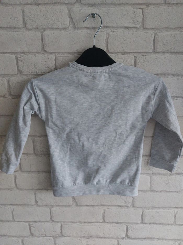 Tee-shirt Du Pareil Au Même taille 2 ans - photo numéro 3