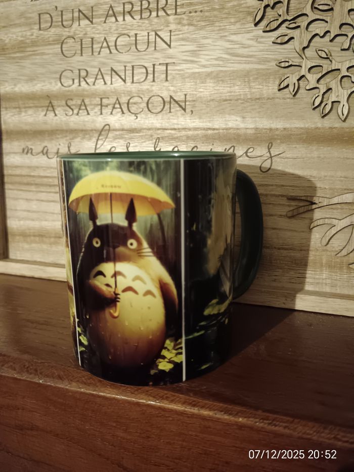 Mug Totoró - photo numéro 4