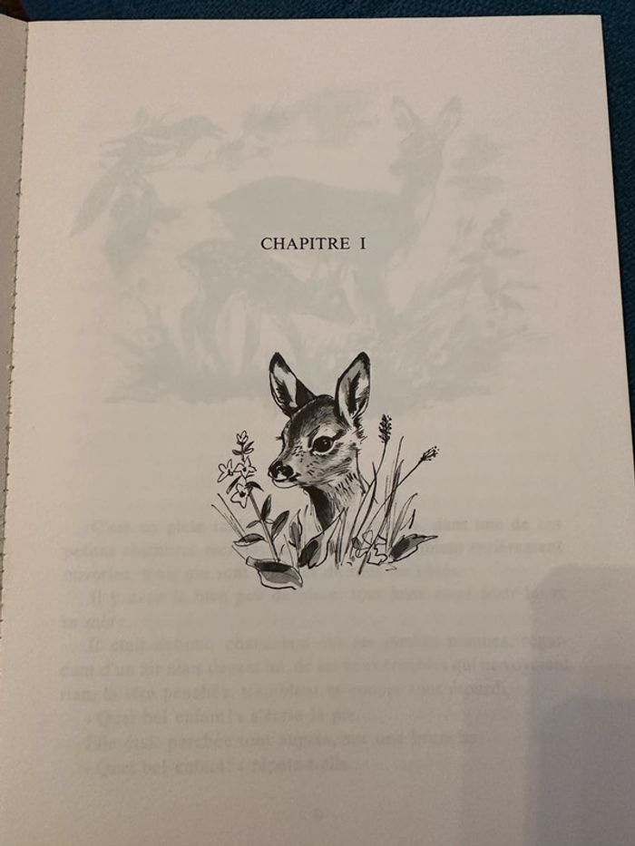 1979 Livre ancien Bambi le Chevreuil Félix Salten Pierre Probst La Galaxie - photo numéro 4