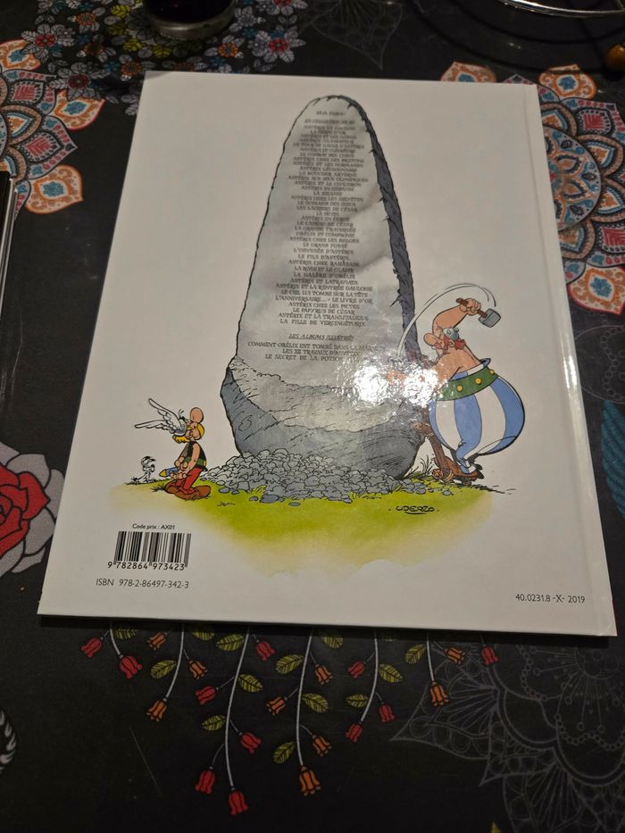 La fille de Vercingétorix - photo numéro 2