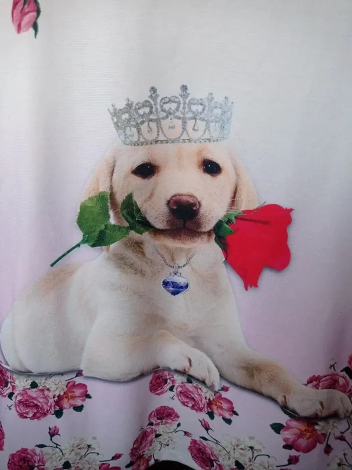 Robe petit fille blanche motif chien - photo numéro 3