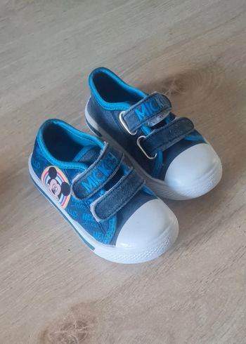 Basket mickey