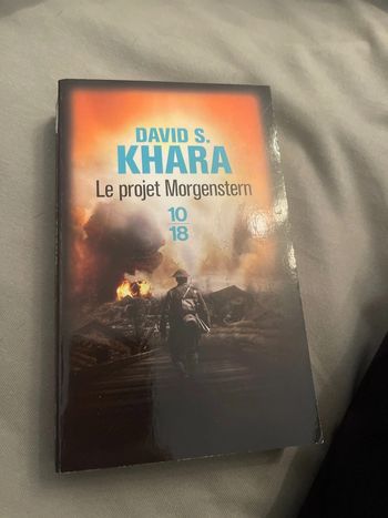 Le projet morgenstern