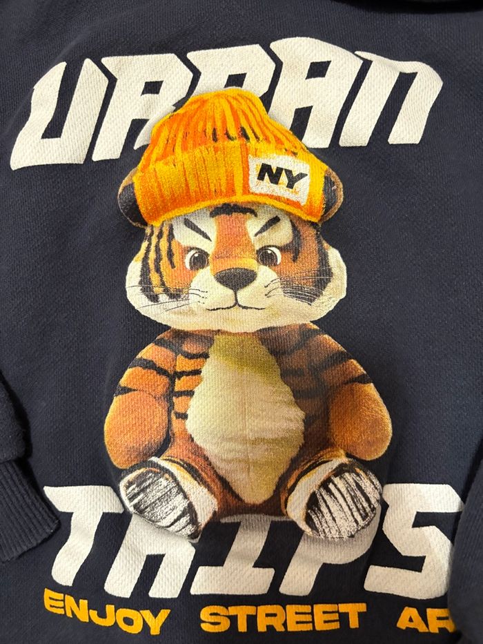 Sweat 5 ans Zara - photo numéro 5