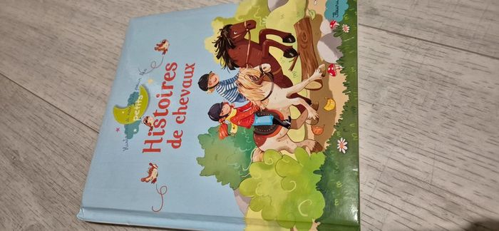Livre histoires de chevaux - photo numéro 1