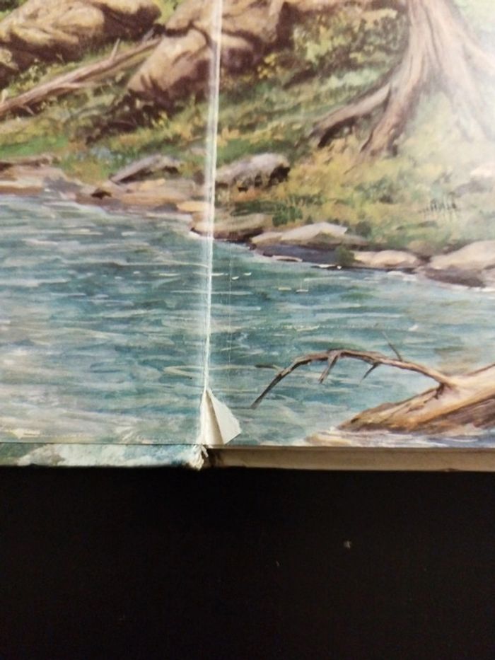 Rare Livre Davy Crockett - photo numéro 11