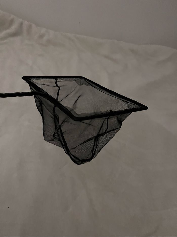 Épuisette poissons - photo numéro 2