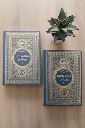 Livres tome 1 et 2 « Notre-Dame de Paris » Victor Hugo