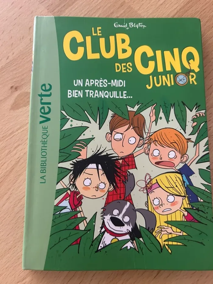 Livre Le Club des Cinq junior tome 1 - La bibliothèque verte