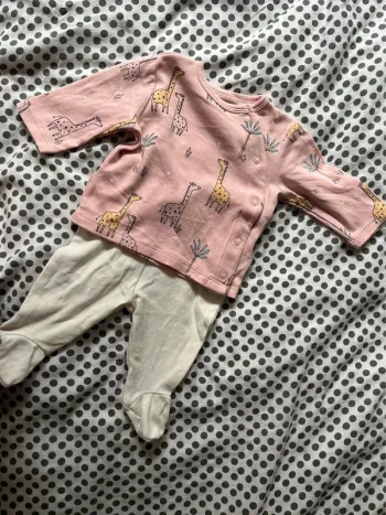 Ensemble