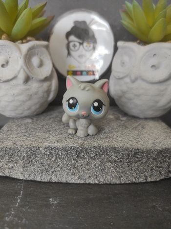 Littlest Petshop Pet Shop LPS chat snowshoe 270 cat Kitten #geektradelpschat