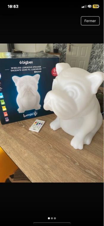 Enceinte lumineuse Bluetooth 