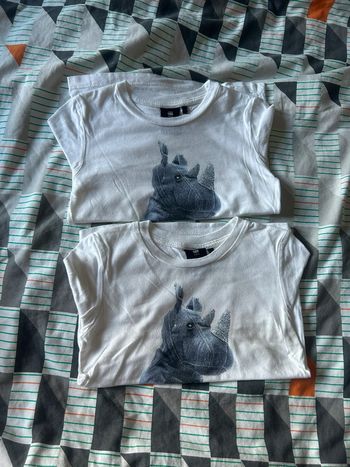 2 t-shirt identique ML