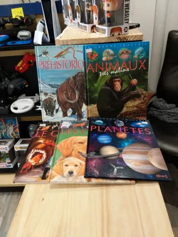 Lot de livres - La Grande Imagerie Fleurus
