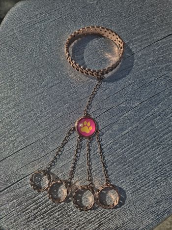 Bijou Miraculous du Tigre – univers Ladybug (livre)