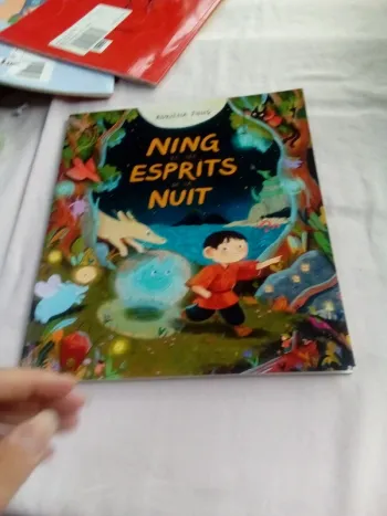 Ning et les esprits de la nuit