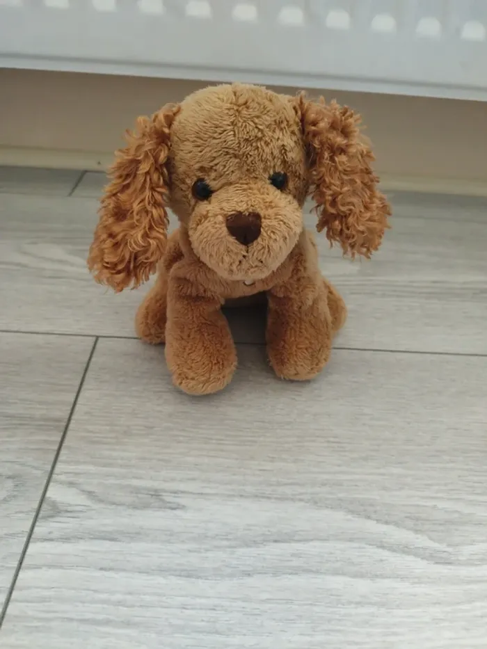Doudou chien 🐶 Gipsy