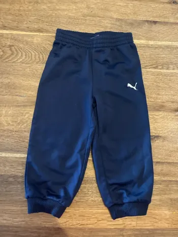 Jogging puma