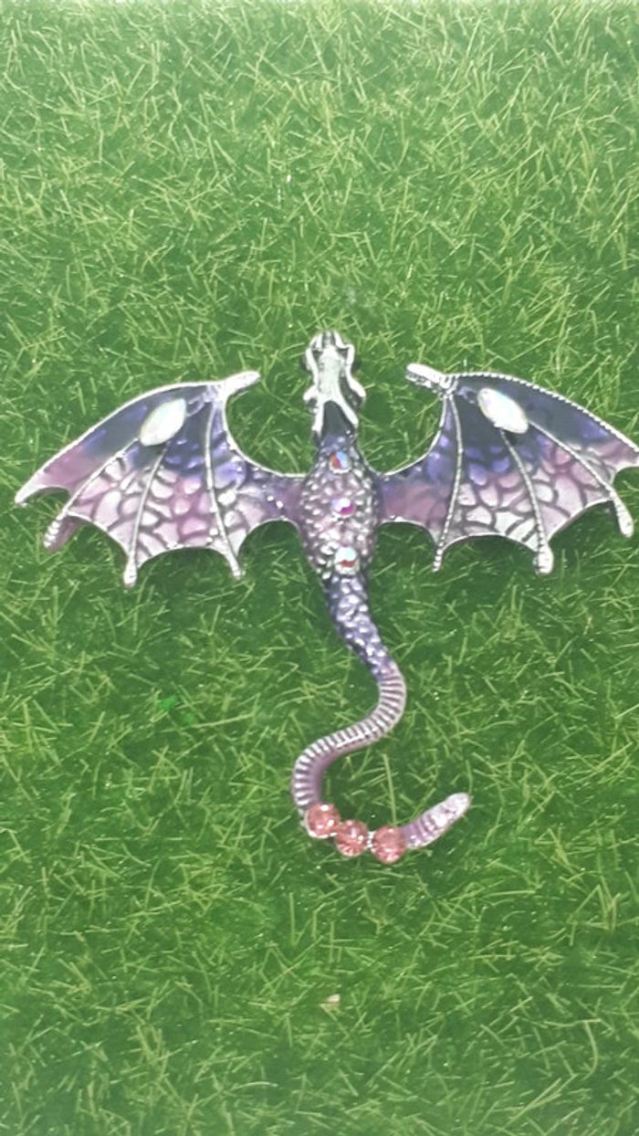Très belle broche dragon 🐉🐉