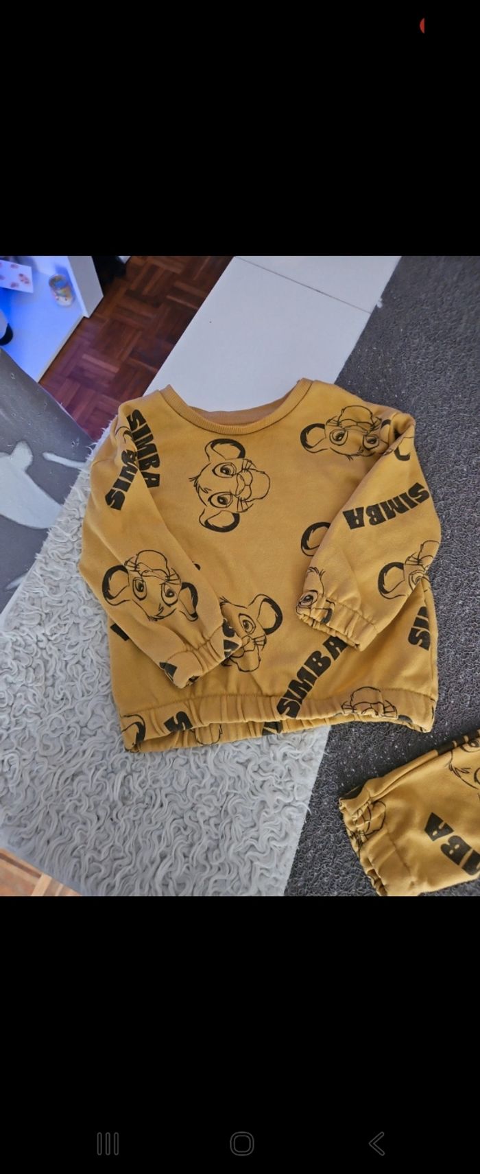 Ensemble roi lion 🦁 - photo numéro 3