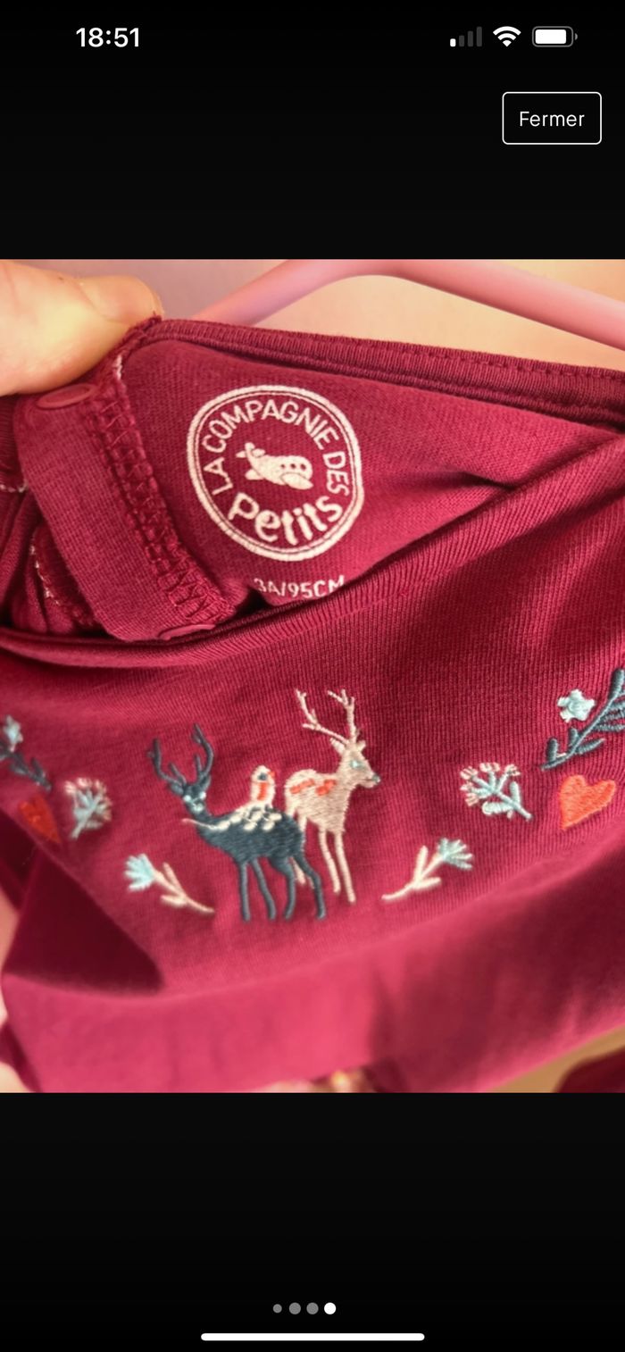 Robe la compagnie des petits - photo numéro 3