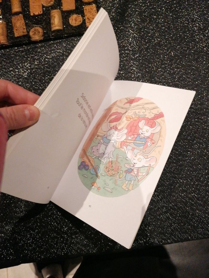 Livre Sidonie souris - photo numéro 3