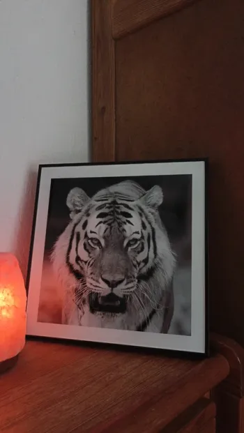 Tableau Black & White Tigre