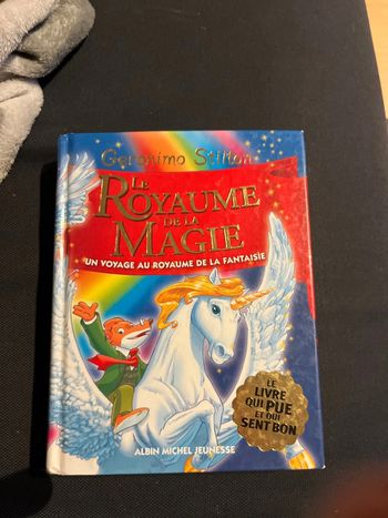 Livre pour enfants Geronimo stilton le royaume de la magie