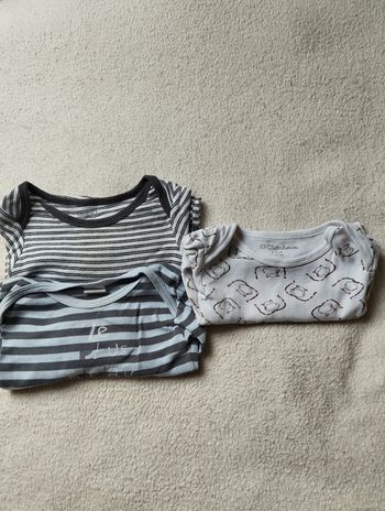 Lot bodies ML