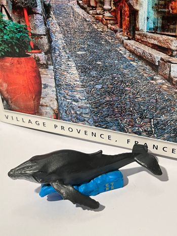 Tonie ce n’est pas sorcier baleine