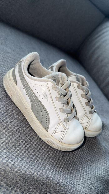 Basket puma