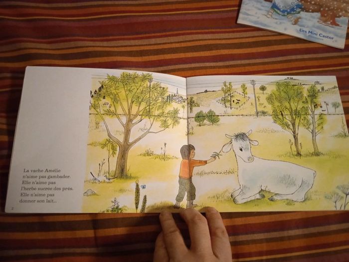 Livres père castor/mini castor - photo numéro 3