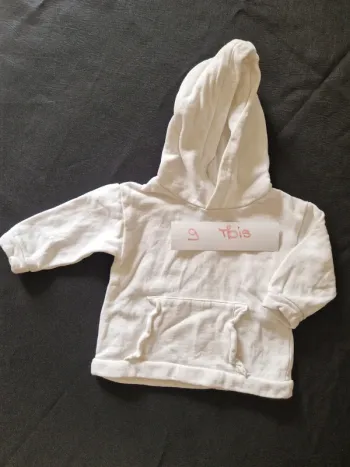Sweat à capuche
