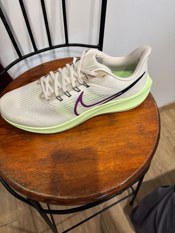 Nike aire max pegasus