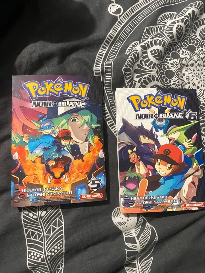 Lot de 2 livres Pokémon