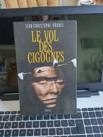 Le vol des cigognes