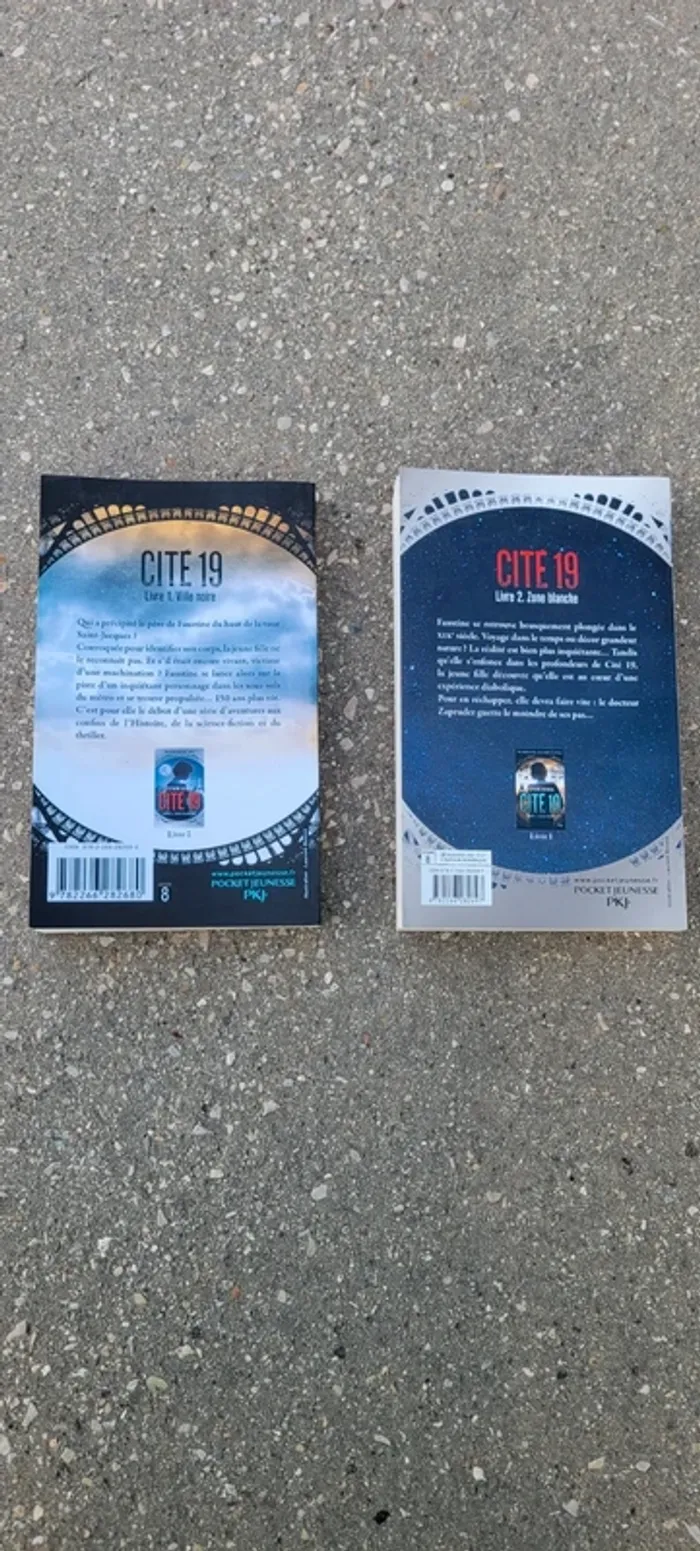 Livre cité 19 - photo numéro 2
