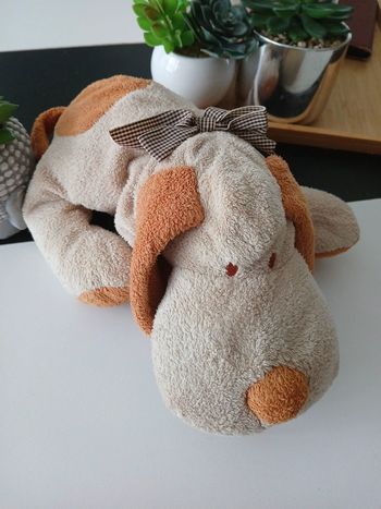 Péluche chien🌿🎁